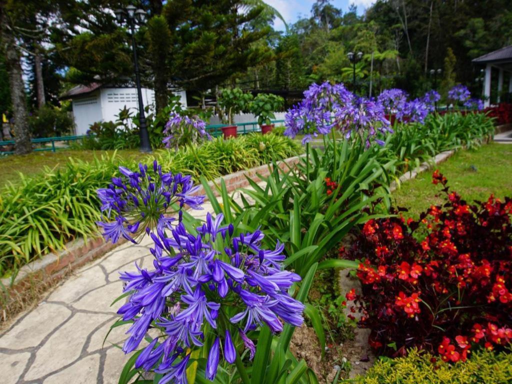 Spot On 89751 Bed Station Guest House Tanah Rata Bagian luar foto